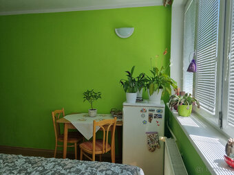 1 IZBOVÝ TEHLOVÝ BYT -BREZOVÁ p.B. - VOĽNÝ +ZN.POSUDOK - 4