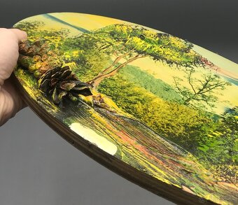 Obrázok maľovaný so šiškami - 4