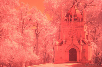 Nikon D90 Infrared. - 4