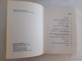 STRUČNÉ DEJINY MALIARSTVA od Cézanna po Picassa - 4