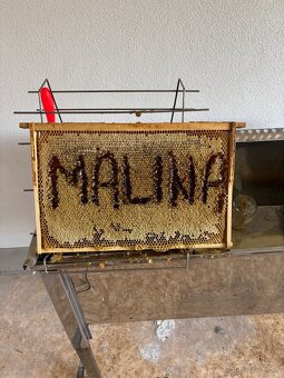 Včelí med lesný malina - 4