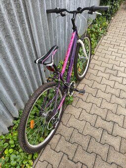 Dámsky horský bicykel DEMA ECCO 1.0 - 4