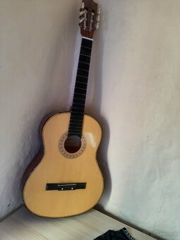 Predam Gitary - 4