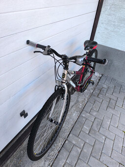 Damsky bicykel PIRANHA - 4
