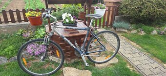 Predam bicykel - 4