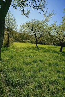 Na Predaj Rodinný dom Ráztočno / pozemok 2156 m2 - 4