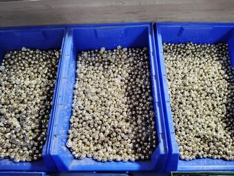 Kovové rolničky pre vianočnú tvorbu - 4