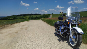 Harley-Davidson FLSTN Softail-Delux - 4