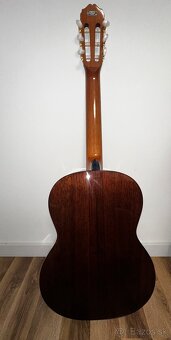 Gitara - 4