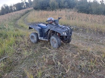 štvorkolka 250ccm - 4