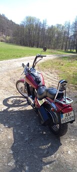 Kawasaki vn 800 - 4