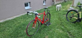 Dura - Ace Di2 Zanella - 4