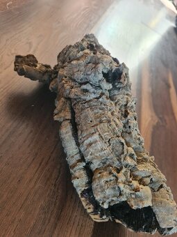 RP Terárium 50,5x30,5x25 - 4