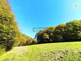 HALO reality - Predaj, pozemok 4955 m2 Považská Bystrica - 4