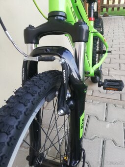 Leader Fox Santy 20" - 4