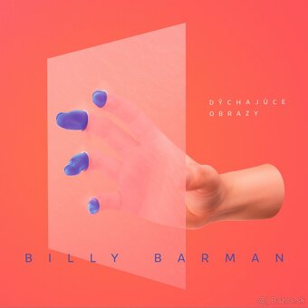 Billy Barman LP - 4