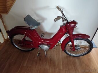 Jawetta 551 - 4