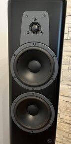 Dynaudio Contour 30i - 4