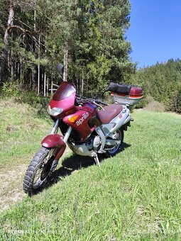 Aprilia pegaso 650 - 4