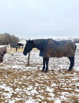 Kobyla s PP aj pre zaciatocnika - 4