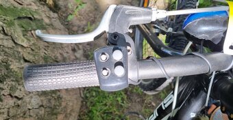 Detsky bicykel Superior 20 - 4
