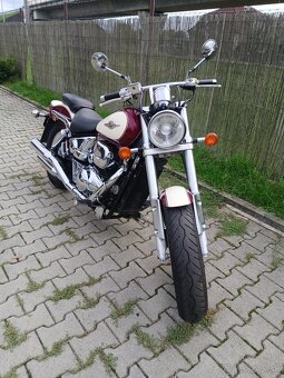 Suzuki VZ 800 Marauder - 4
