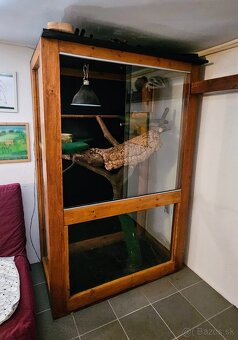 Terarium 195x120x70 - 4