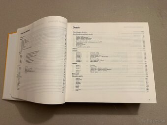 Slovník Multilingual Dictionary of the Gas Industry - 4