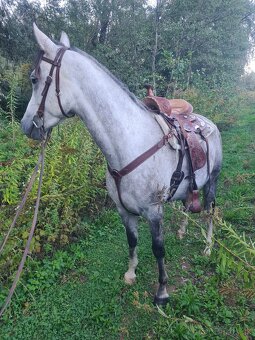 Westernové sedlo - 4