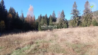 HALO reality - Predaj, rekreačný pozemok Pribylina - 4