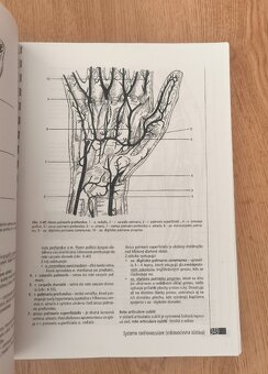Anatómia ľudského tela, Peter Mráz - 4