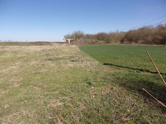 Exkluzívny predaj pozemku 3410 m2, Málaš, Levice - 4