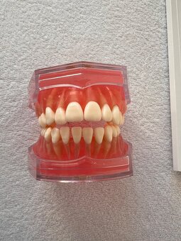 Predám nástroje a knihy na dentálnu hygienu - 4
