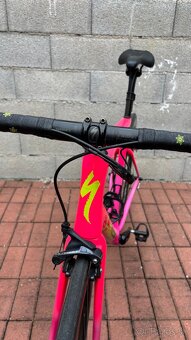 Specialized S-works Tarmac SL6 - 4