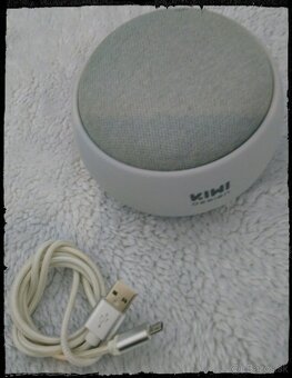GOOGLE ASSISTANT NEST MINI + KIWI - 4