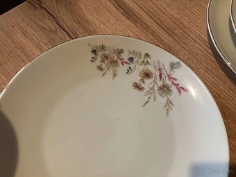 Royal Ivory Czechoslovakia - 4