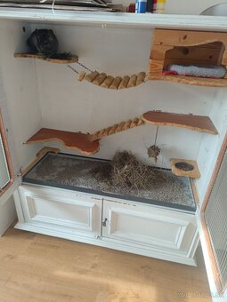 Činčila s klietkou - 4