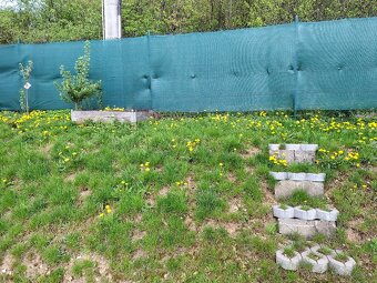 Záhrada s chatkou - 4