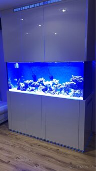 Predám Morske akvarium stojanom a filtráciou bez života - 4