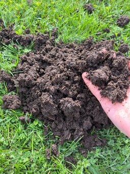 Vermikompost - 5L - 4