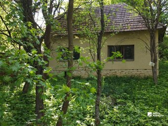 Dva staršie domy uprostred lesa – romantika a pokoj - 4
