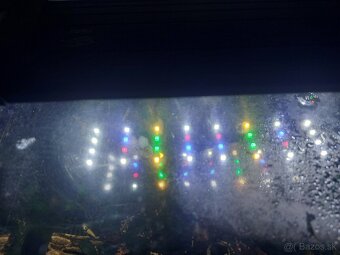 Predam WRB svetlo na akva. - 4