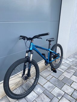 Kellys whip 50 2021 - 4
