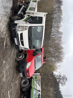 PALIVOVE DREVO - 4