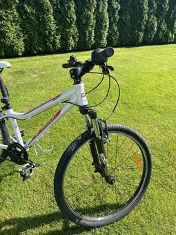 Detsky bicykel Amulet Superlite 24 - 4
