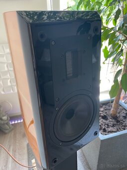 Aurum Cantus V2M - 4