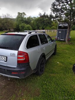 Octavia Scaut - 4
