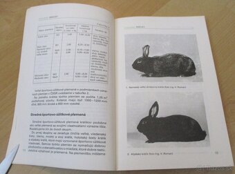 Chováme králiky - 4 - 4