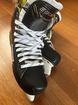 Korcule Bauer 9.5 - 4