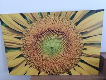 Predám obraz fotoplatno - 4